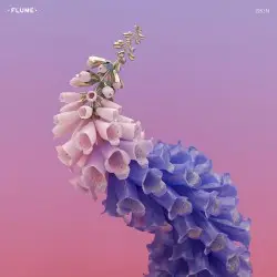 Skin by Flume