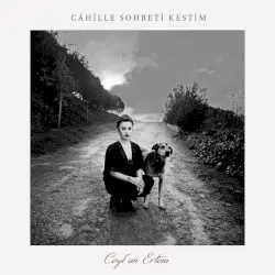 Câhille Sohbeti Kestim by Ceylan Ertem
