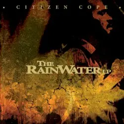 The Rainwater LP by Citizen Cope