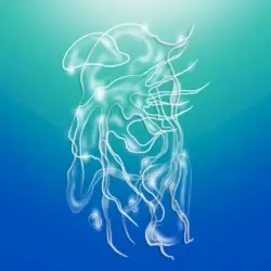 a veil, the sea by Alexandra Spence