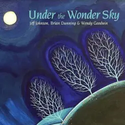 Under the Wonder Sky by Jeff Johnson, Brian Dunning & Wendy Goodwin