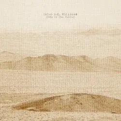 Down in the Valley by Caleb R.K. Williams