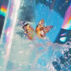 Butterfly by Daphni