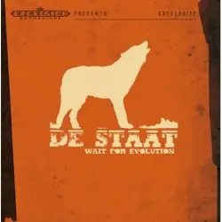 Wait for Evolution by De Staat