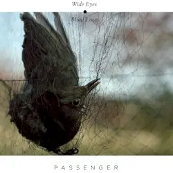 Wide Eyes Blind Love by Passenger