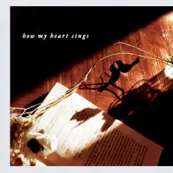 How My Heart Sings by Akira Kosemura