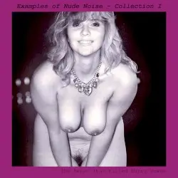 Examples of Nude Noise - Collection I by The Beast That Killed Bunny Downe