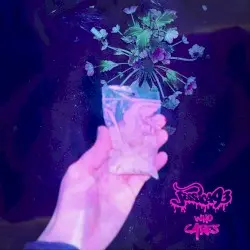 Who Cares by Jessica93