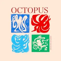 Octopus by Newton Faulkner