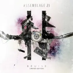 Bruise by Assemblage 23