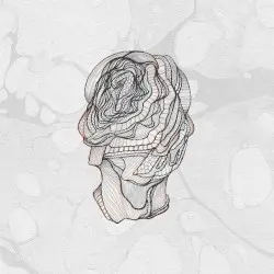 Little Foot by Calibre