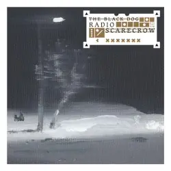 Radio Scarecrow by The Black Dog