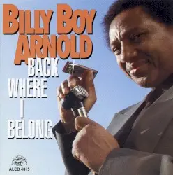 Back Where I Belong by Billy Boy Arnold