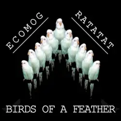 Birds of a Feather by ECOMOG vs Ratatat