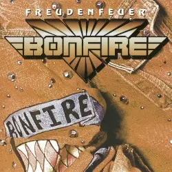 Freudenfeuer by Bonfire