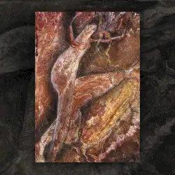 Swanyard by Coil