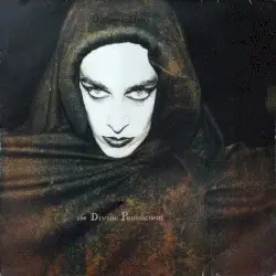 The Divine Punishment by Diamanda Galás