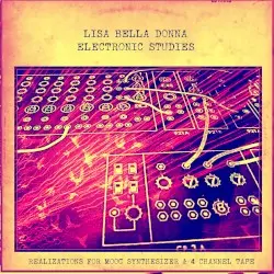 Electronic Studies by Lisa Bella Donna