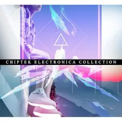 Chiptek Electronica Collection by she