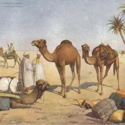 Arabische Nächte by Vintage Cucumber