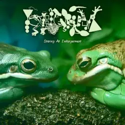 Staring at Endangerment by Phyllomedusa