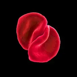 Scratch My Back by Peter Gabriel
