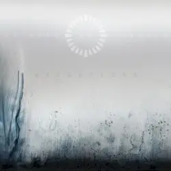 Weightless by Animals as Leaders