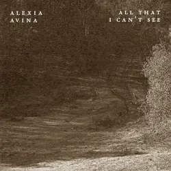 All That I Can’t See by Alexia Avina