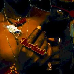 The Inevitable Rise and Liberation of NiggyTardust! by Saul Williams