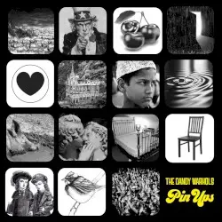 Pin Ups by The Dandy Warhols