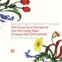 Still Important Somekind Not Normally Seen (Always Not Unfinished) by Björgúlfsson, Pimmon & Thorsson