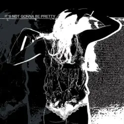 It's Not Gonna Be Pretty by The Sour Notes