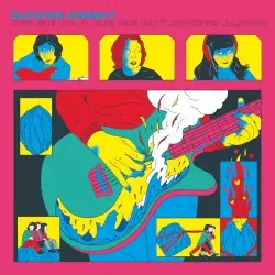 Dig Me In: A Dig Me Out Covers Album by Sleater-Kinney