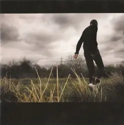 Wilderness by Brett Anderson