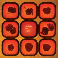 Summer's Seething Pulse by Birchville Cat Motel