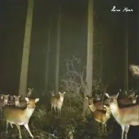 Conscious, Not Really by Low Roar