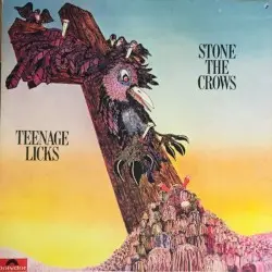 Teenage Licks by Stone the Crows