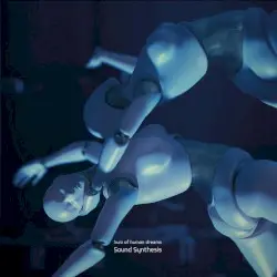 Hum of Human Dreams by Sound Synthesis