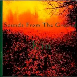 Kin by Sounds From the Ground
