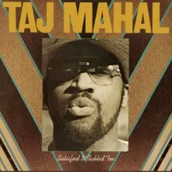 Satisfied 'n Tickled Too by Taj Mahal