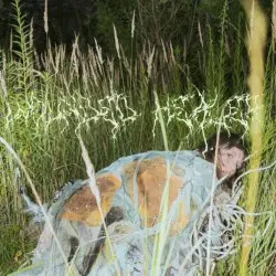 Wounded Healer by Mala Herba