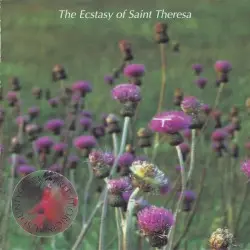 Free-D (Original Soundtrack) by The Ecstasy of Saint Theresa
