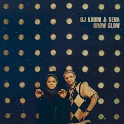 Grow Slow by DJ Vadim & Sena