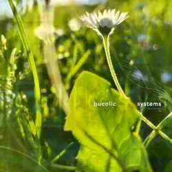 bucolic systems by Technomarina