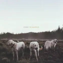 The Albatross by Foxing