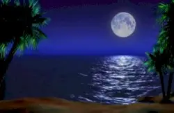 Deep Sea Dreams by CD