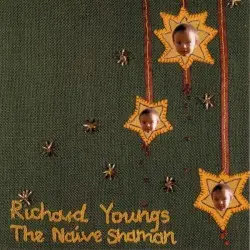 The Naive Shaman by Richard Youngs