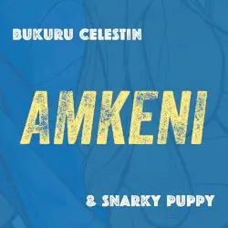 Amkeni by Bukuru Celestin & Snarky Puppy