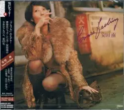 Some Feeling by 安田南