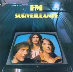 Surveillance by FM
